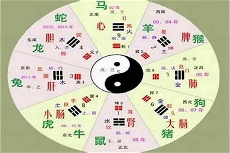 崴五行|崴字的五行属性